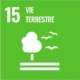 ODD éducation vie terrestre – Eutopique